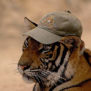 Meet your Posher, Althea